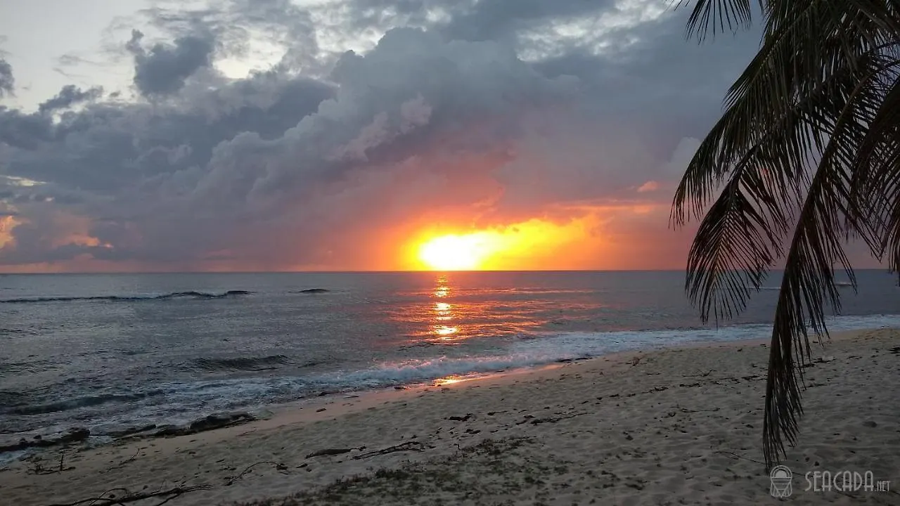 Seacada- Beachfront - Pool - Panoramic Sunsets Apartment George Town 0*,