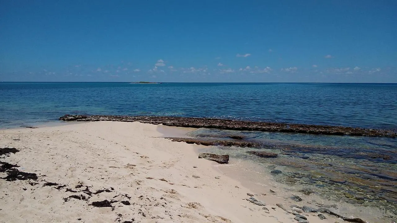 Seacada- Beachfront - Pool - Panoramic Sunsets Apartment George Town