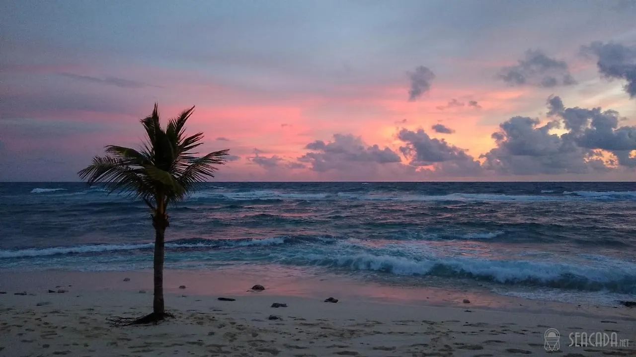 Seacada- Beachfront - Pool - Panoramic Sunsets Apartment George Town