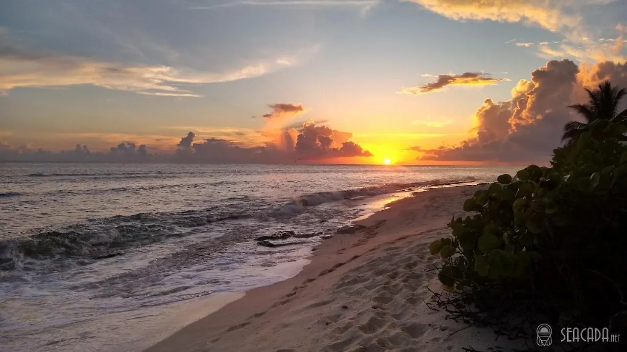 Seacada- Beachfront - Pool - Panoramic Sunsets Daire George Town 0*,  Cayman Adaları