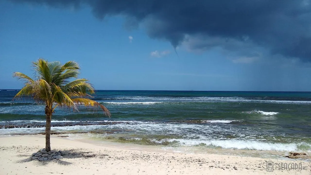 Seacada- Beachfront - Pool - Panoramic Sunsets Daire George Town Cayman Adaları