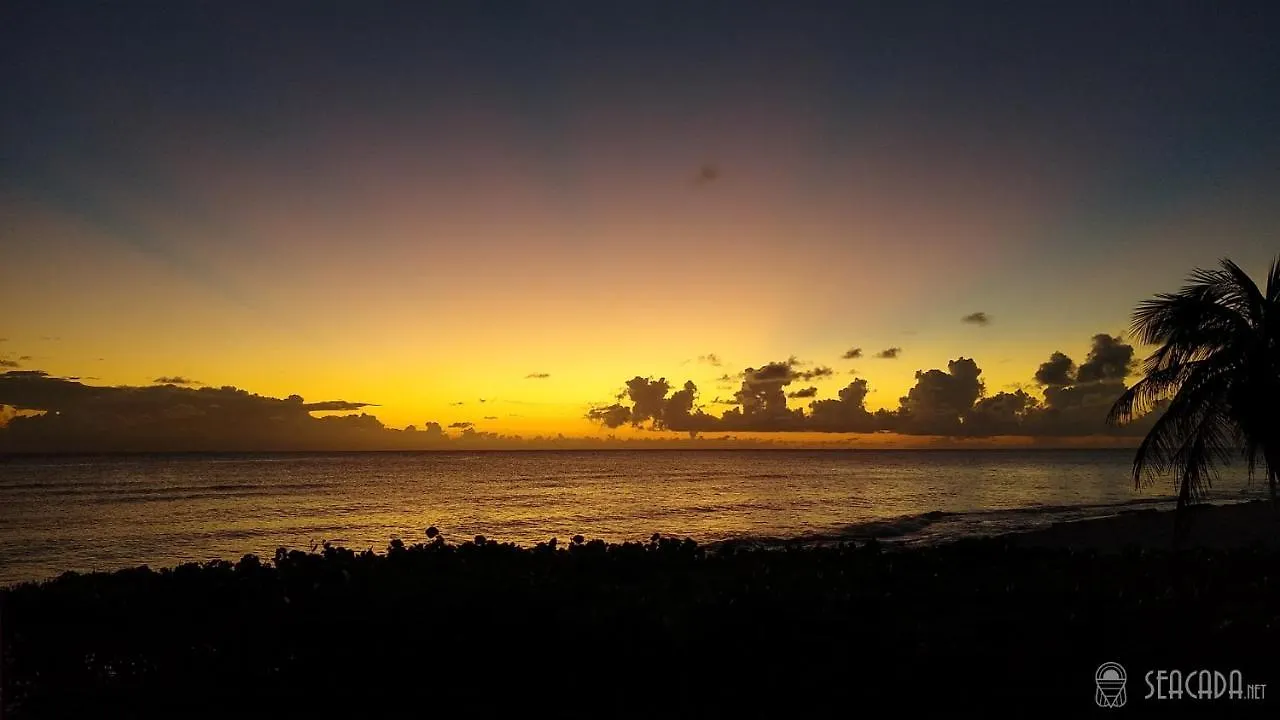 Seacada- Beachfront - Pool - Panoramic Sunsets Apartment George Town 0*,  Cayman Islands