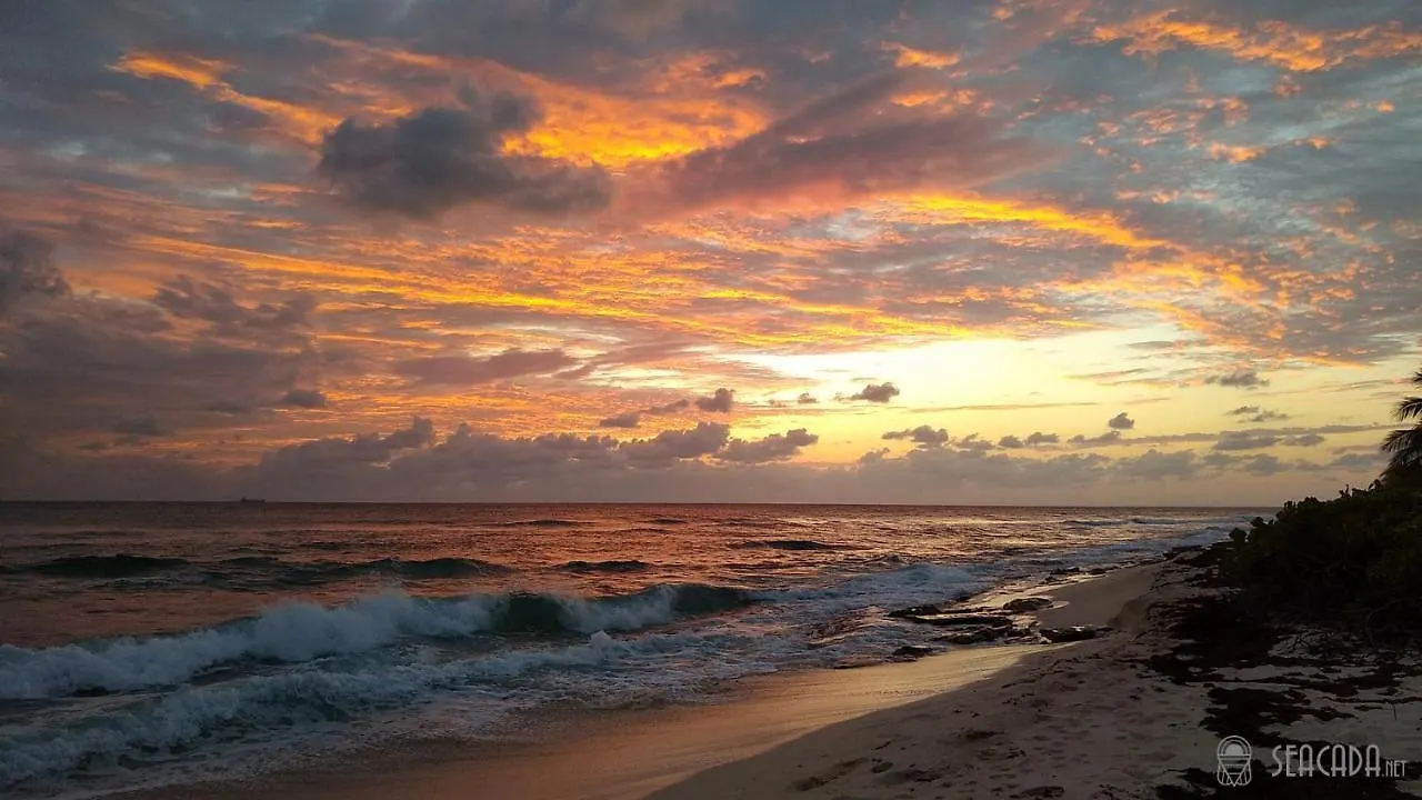 Seacada- Beachfront - Pool - Panoramic Sunsets Apartment George Town