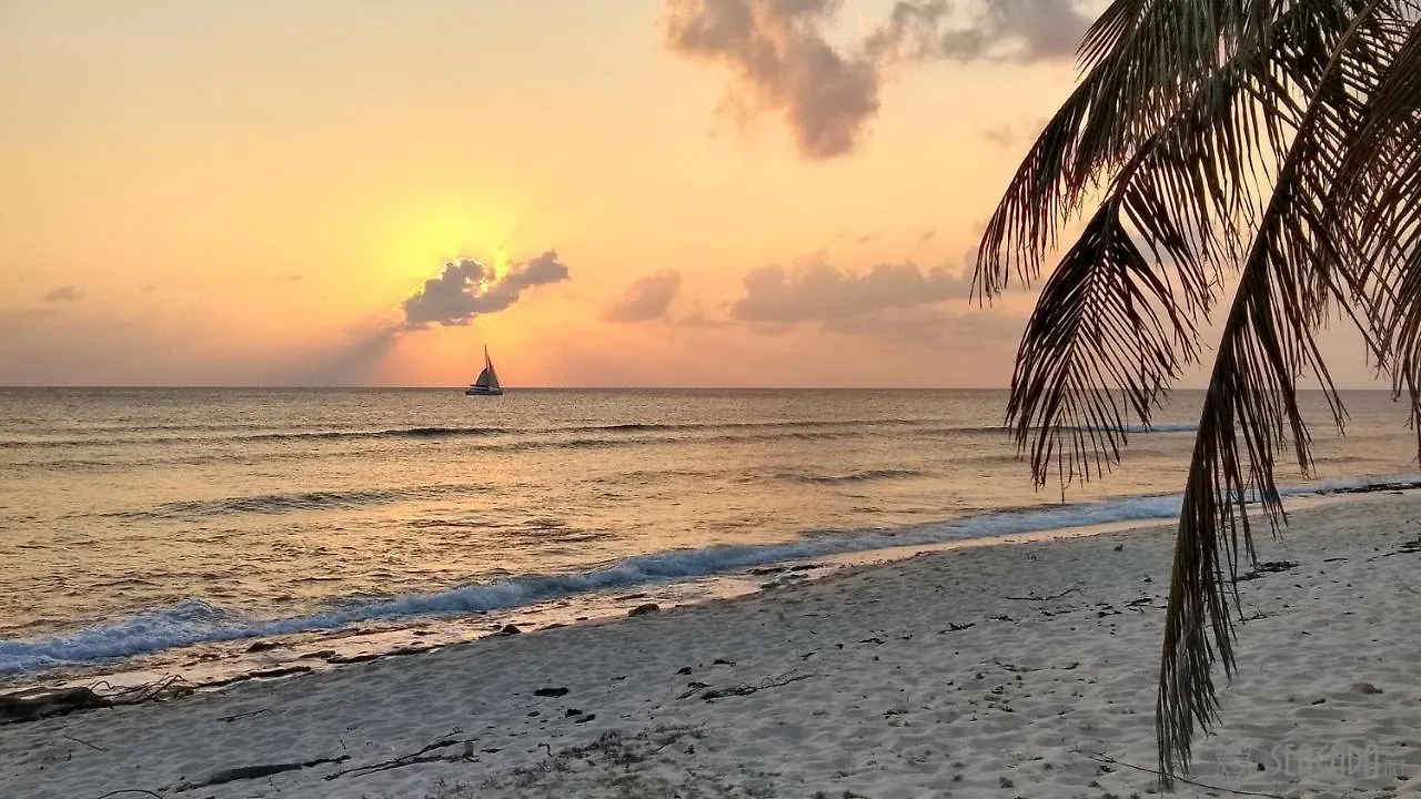 Seacada- Beachfront - Pool - Panoramic Sunsets Apartment George Town Cayman Islands