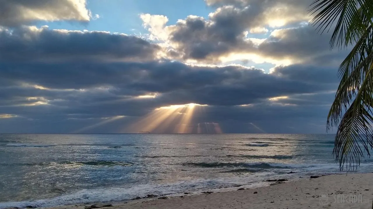 Seacada- Beachfront - Pool - Panoramic Sunsets Daire George Town 0*,  Cayman Adaları