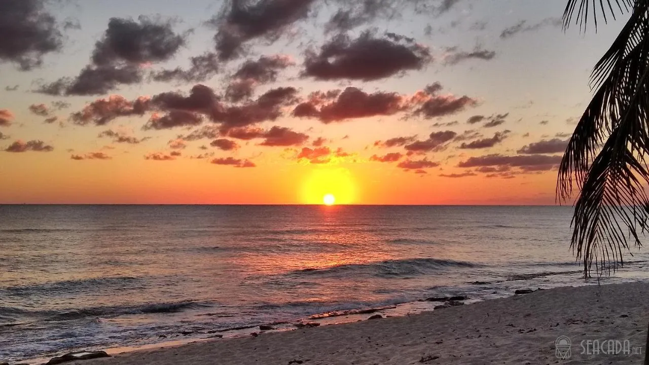 Seacada- Beachfront - Pool - Panoramic Sunsets Apartment George Town