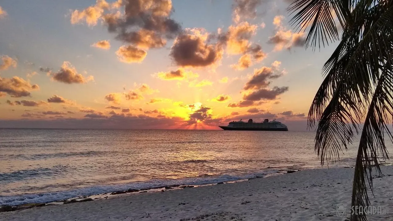 Seacada- Beachfront - Pool - Panoramic Sunsets Apartment George Town Cayman Islands